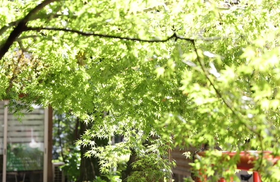 慎重に決めるお葬式、最善のお別れのために｜目黒でお葬式を探すなら小さな葬儀社ともいき社