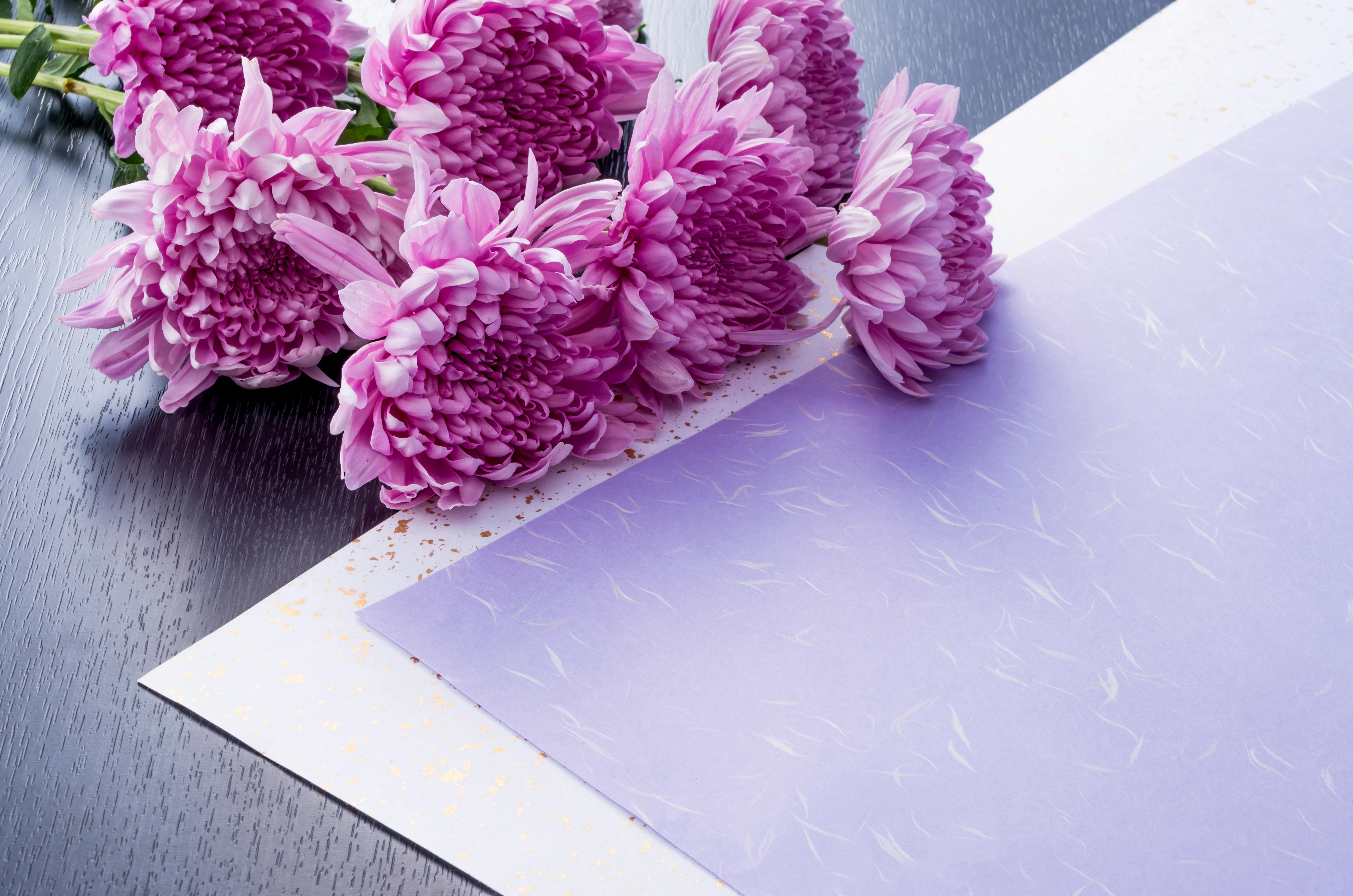AdobeStock_93445845