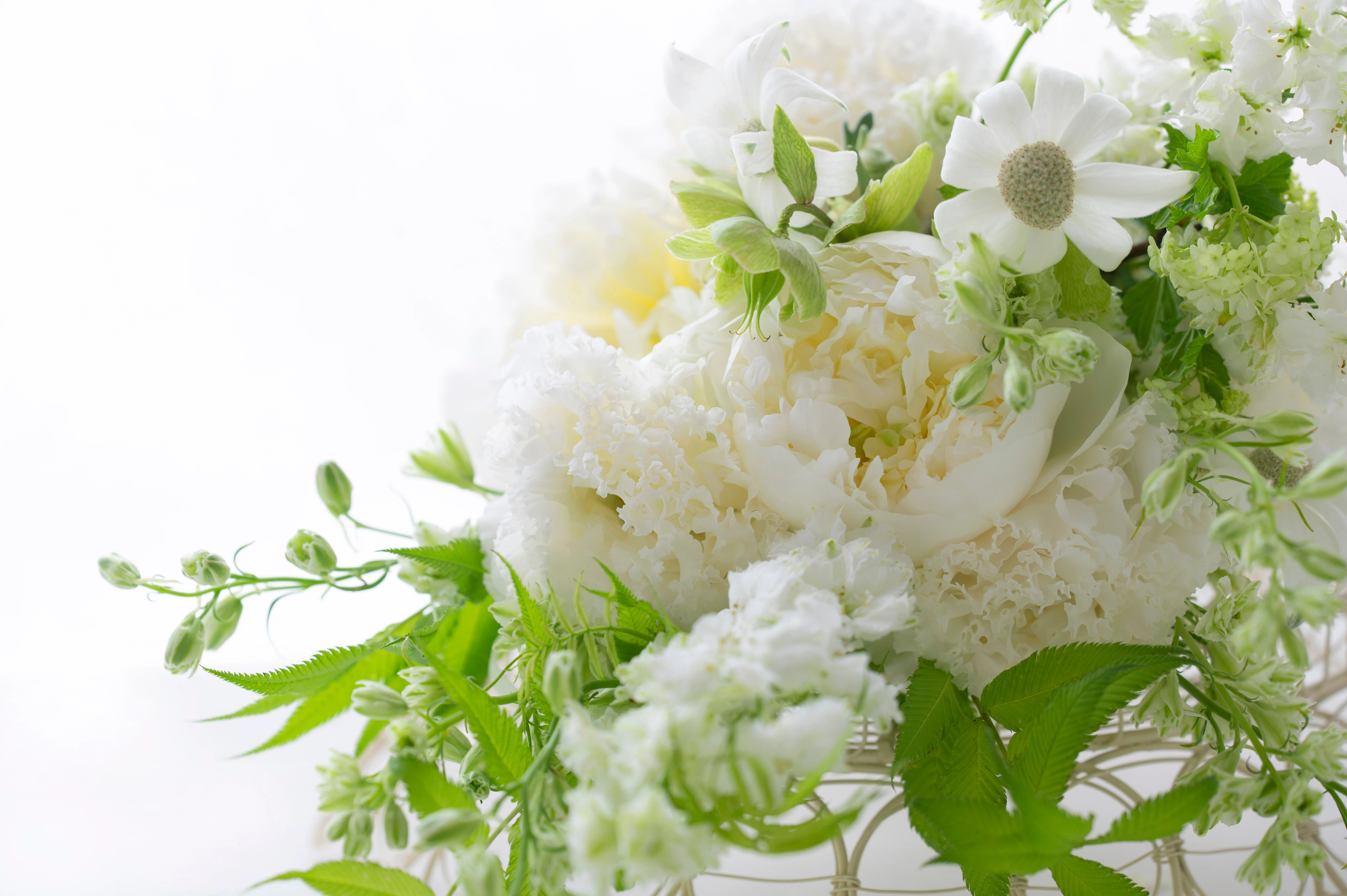 AdobeStock_509509659